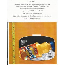 Dr Pepper / Snapple Chameleon Size Soda Flavor Strip SunnyD Orange 16oz BOTTLE